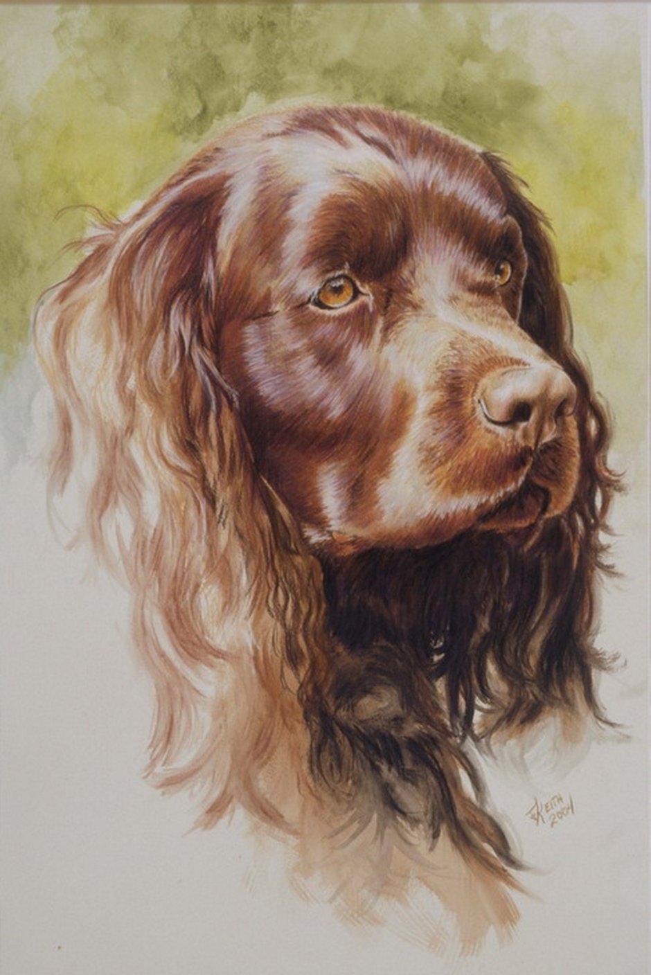 Дрентский патрийсхонд