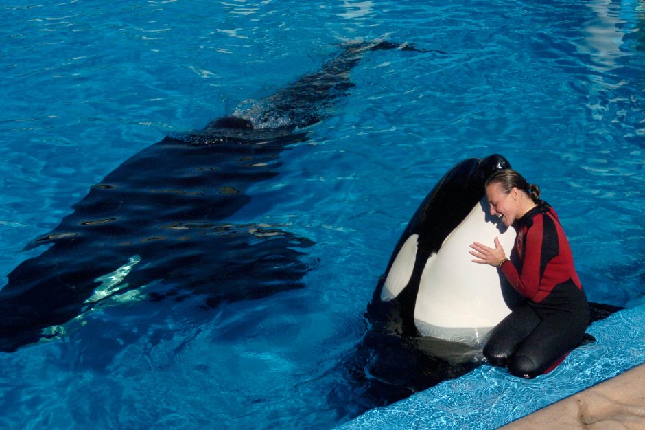 Тиликум и Дон Браншо