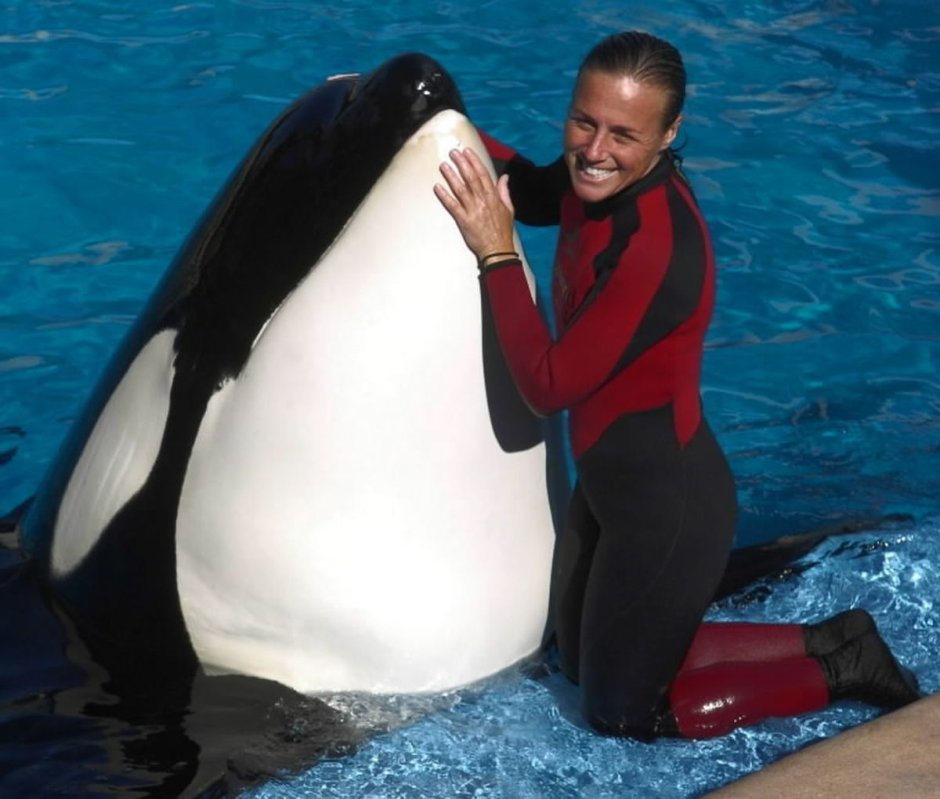 Дрессировщица Дон Браншо