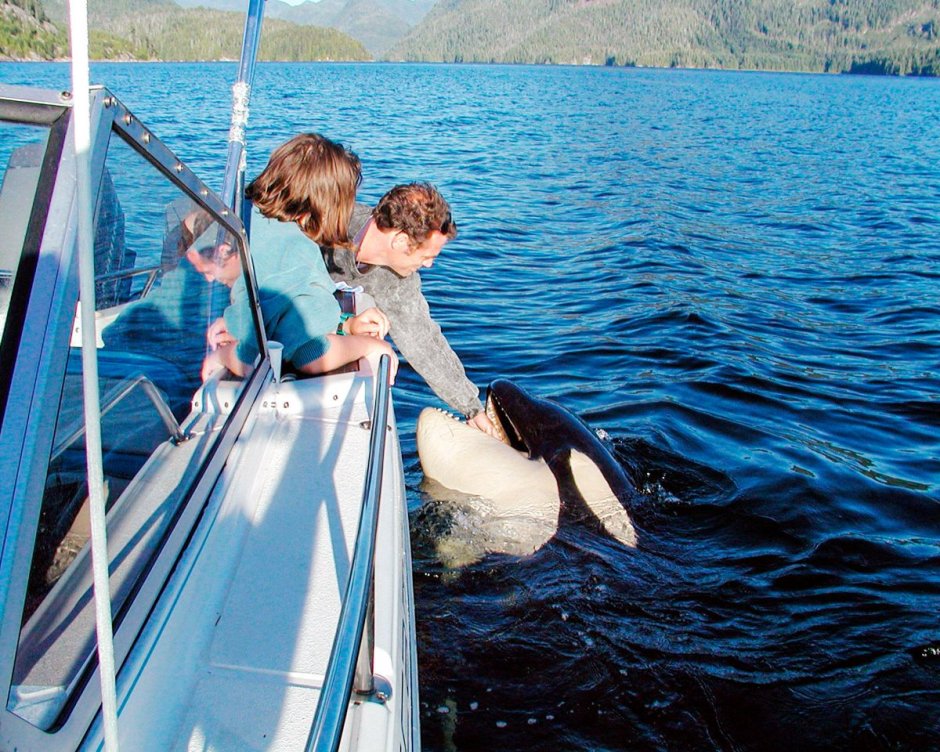 Канада, Whale Compass Camp