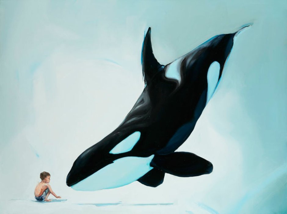 Касатка узор