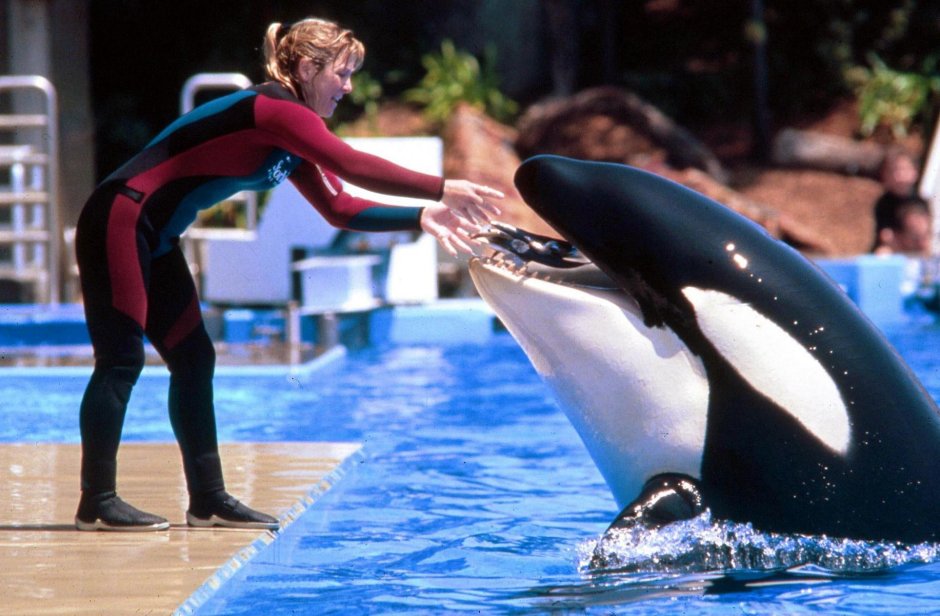 Доун Браншо