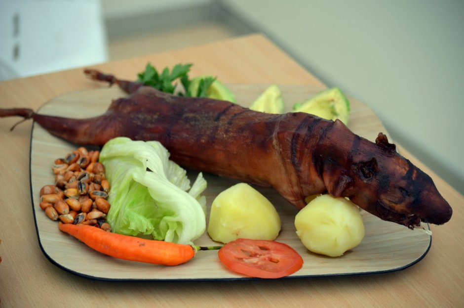 Морская Свинка Перу куй