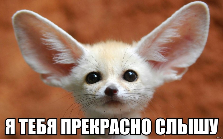 Кицунэ Огненная лиса