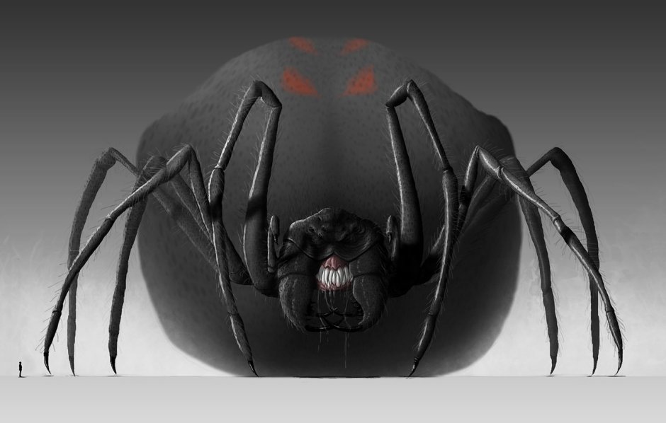 Арахнид варкрафт