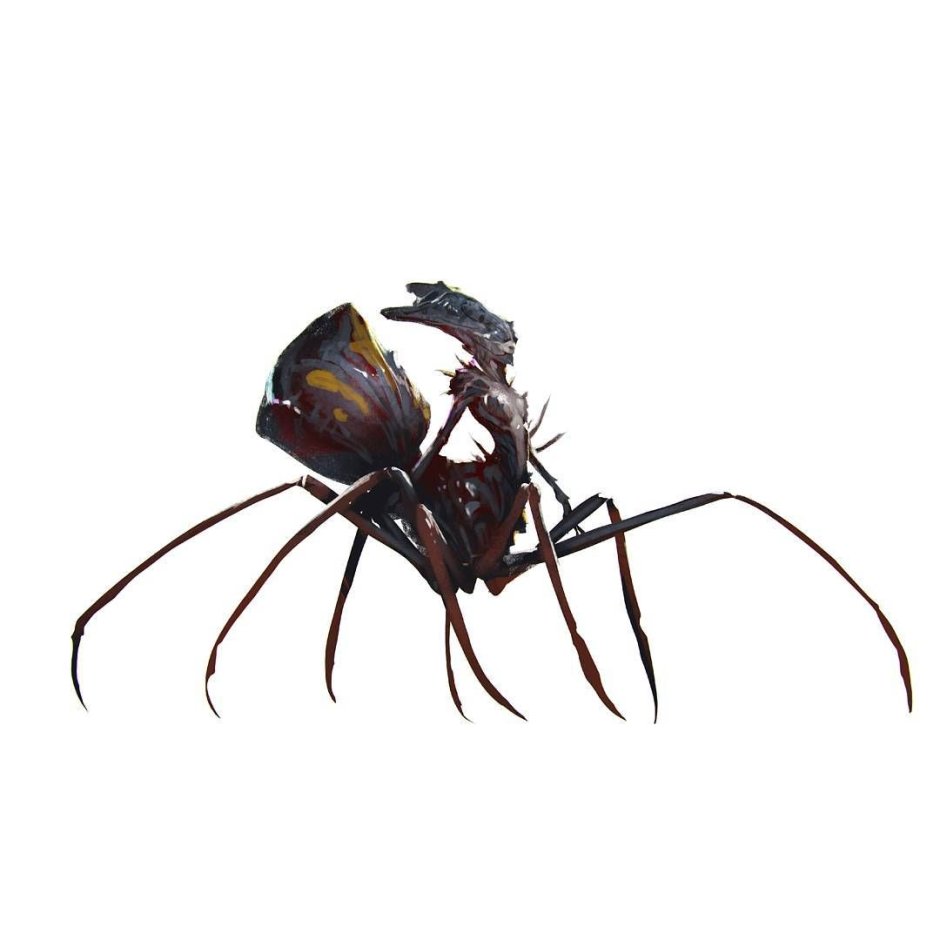 Паук гнездовища МТГ