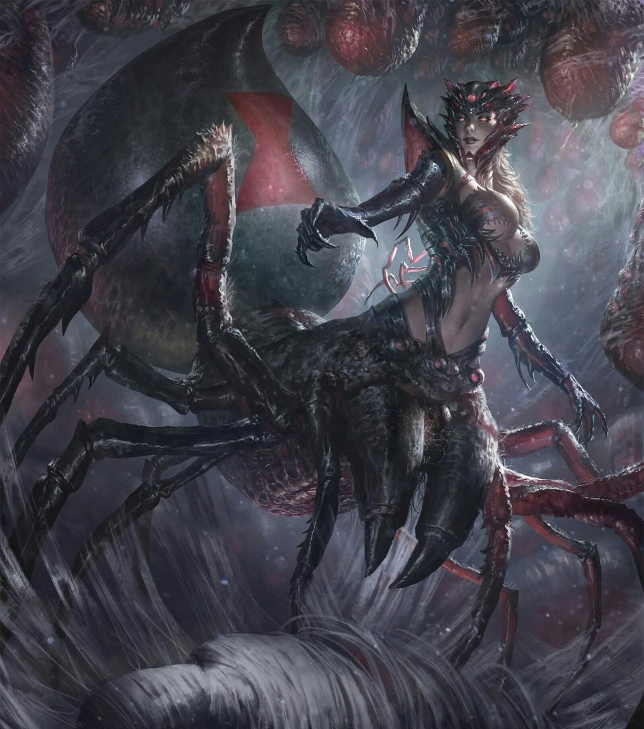 Арахна анатомия