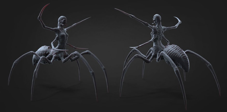 Паукообразные пришельцы