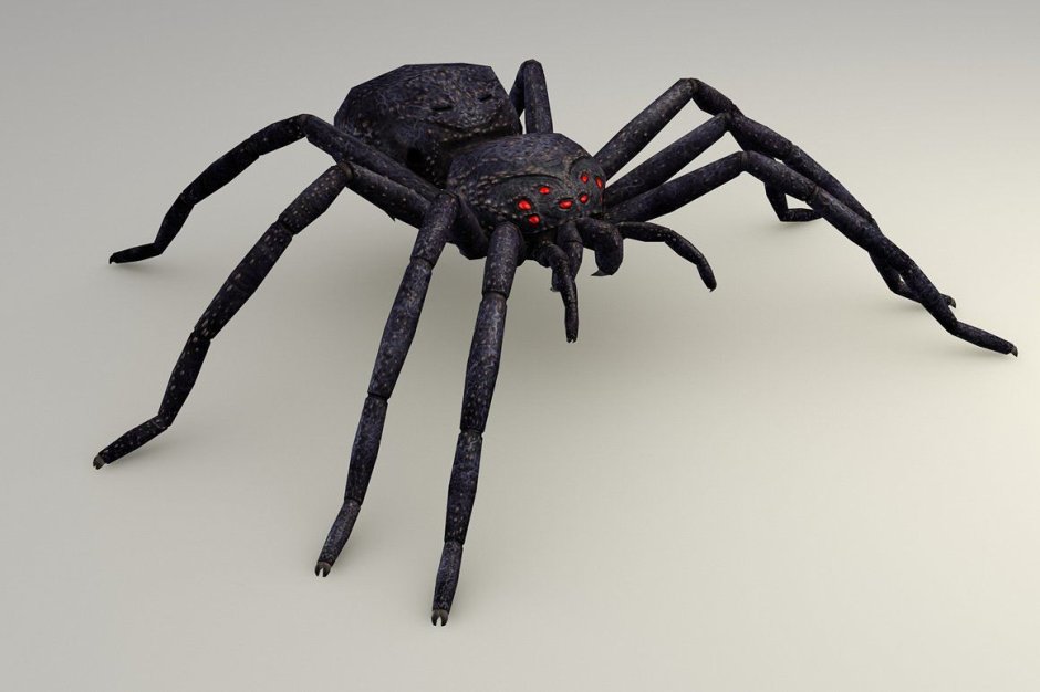 Женщина паук Шелоб