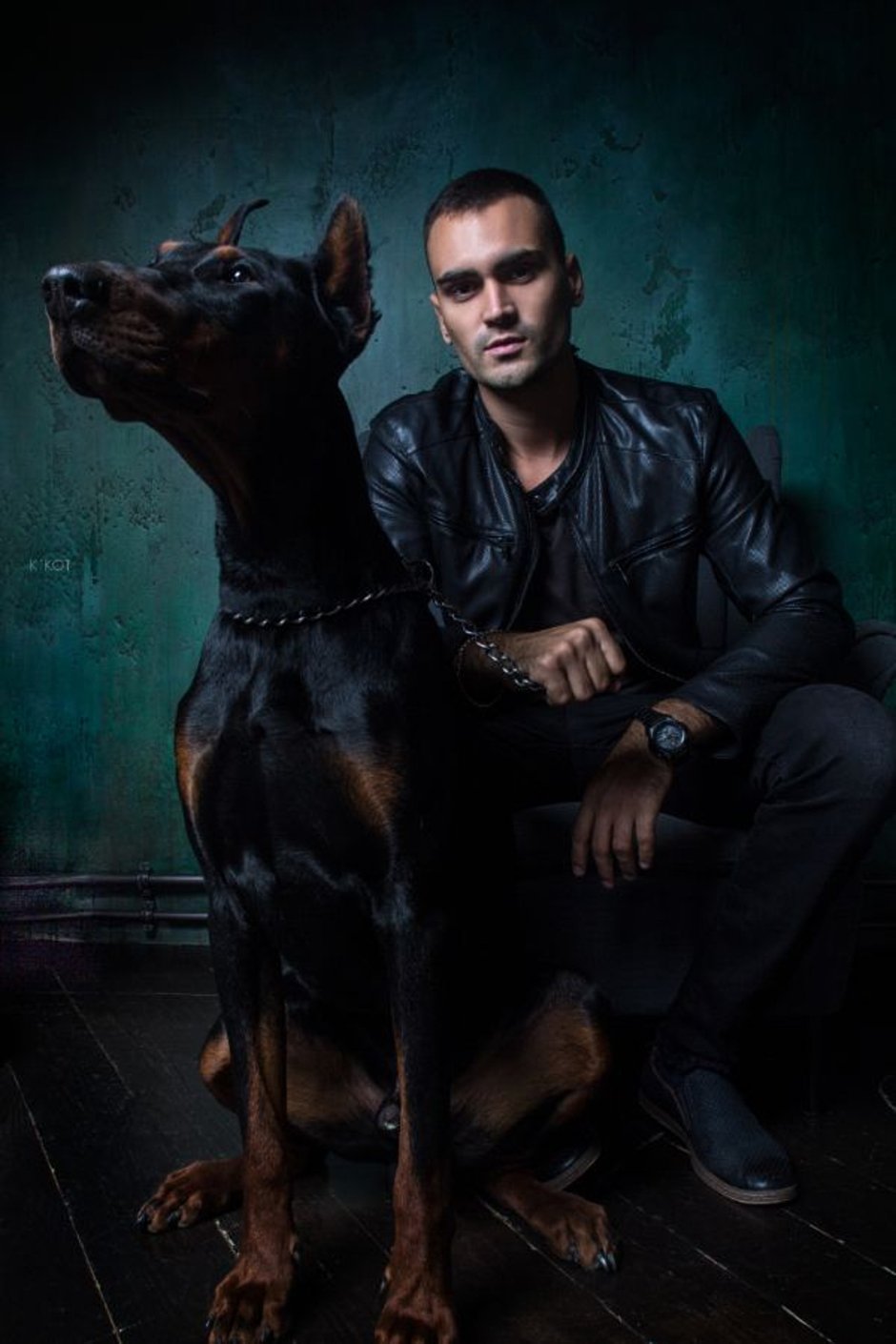 Черная овчарка Сириус Блэк