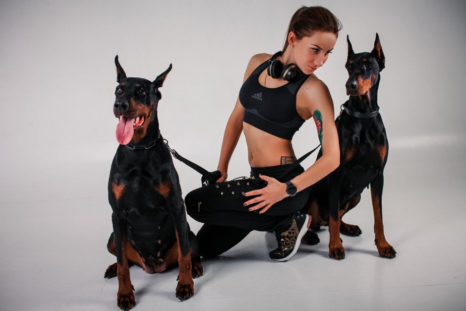 Доберман рэпер