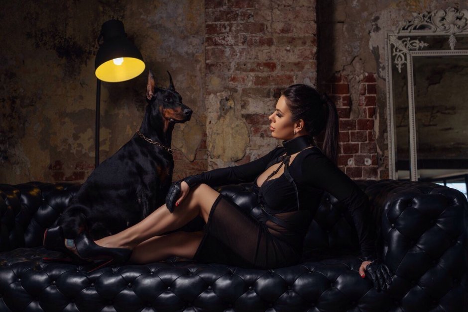 Доберманы Влада а4