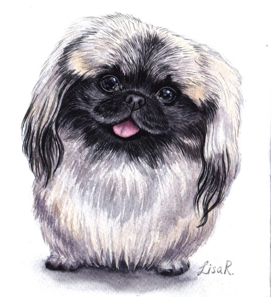 Пекинес мультяшный