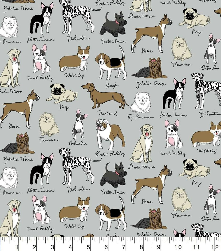 Иллюстрации собак разных пород