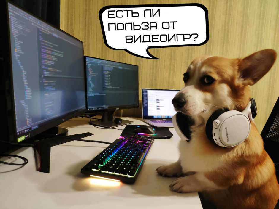 Корги за компьютером