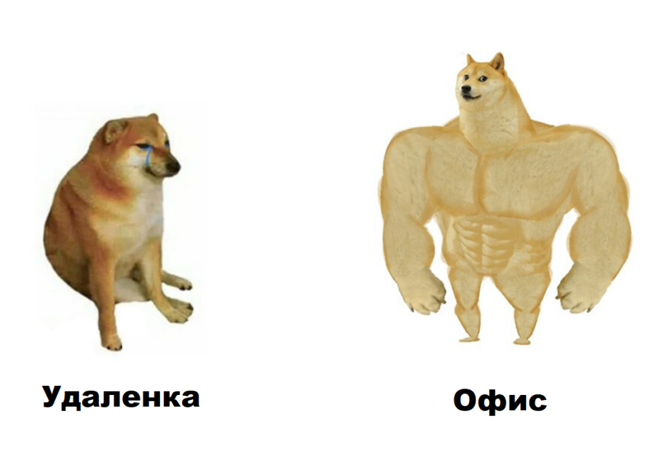 Мем Шиба ину качок