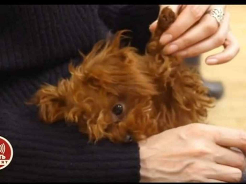 Этери Георгиевна Тутберидзе