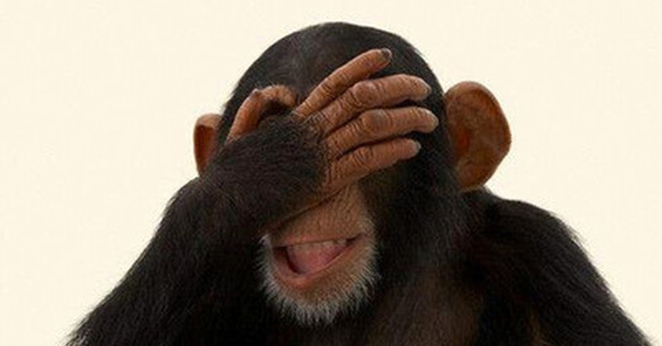 Злая макака