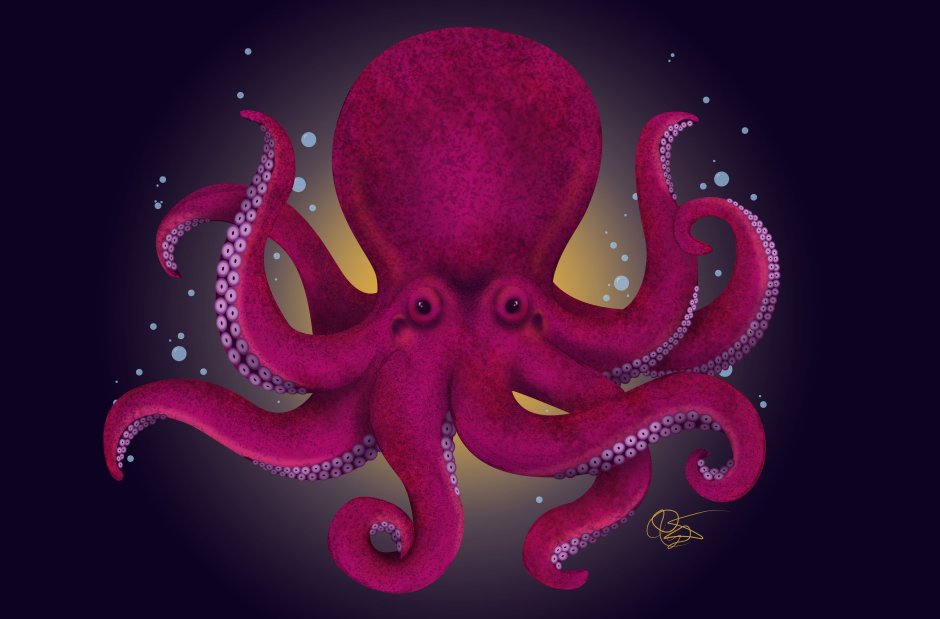 Enteroctopus dofleini