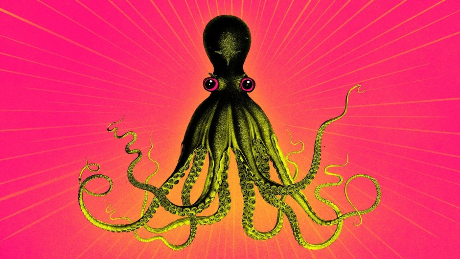 Самые большие Осьминоги в мире