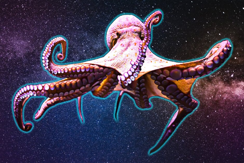 Giant Pacific Octopus