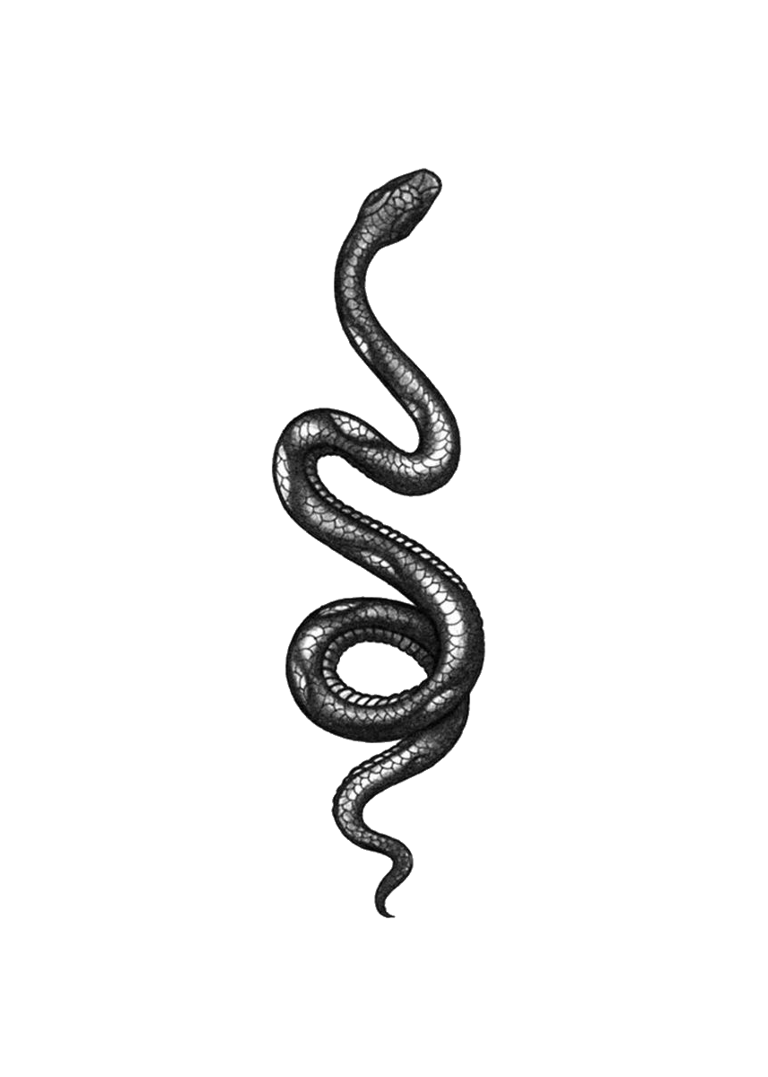 Трафарет тату змея