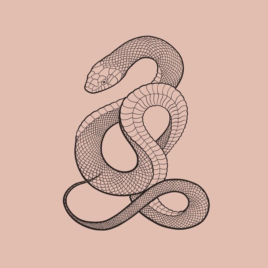 Переводные тату змей