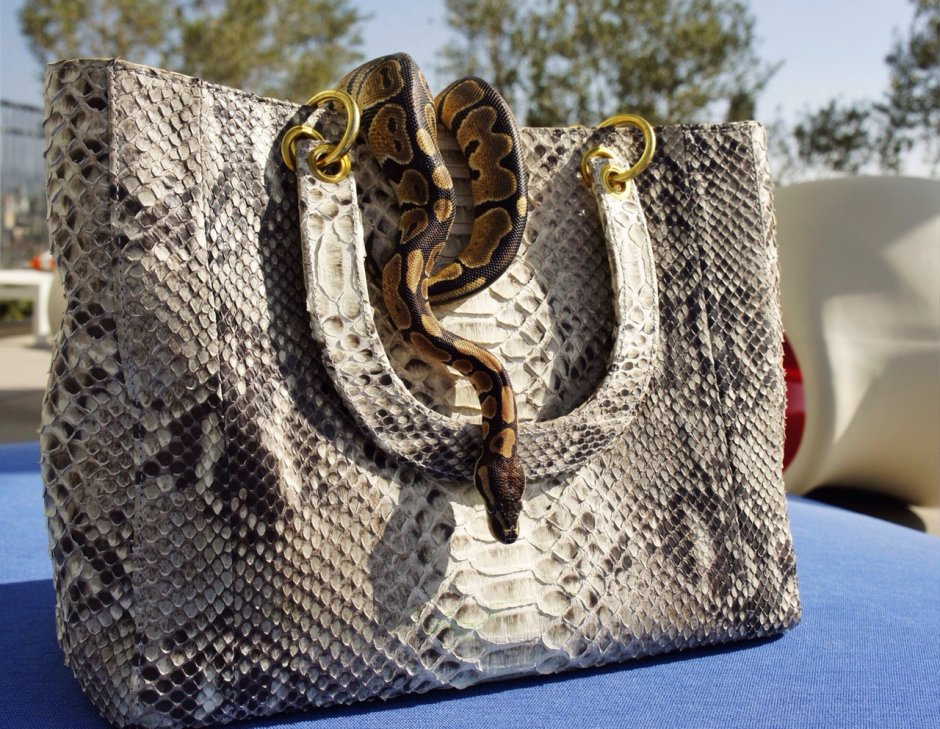Сумка из змеи