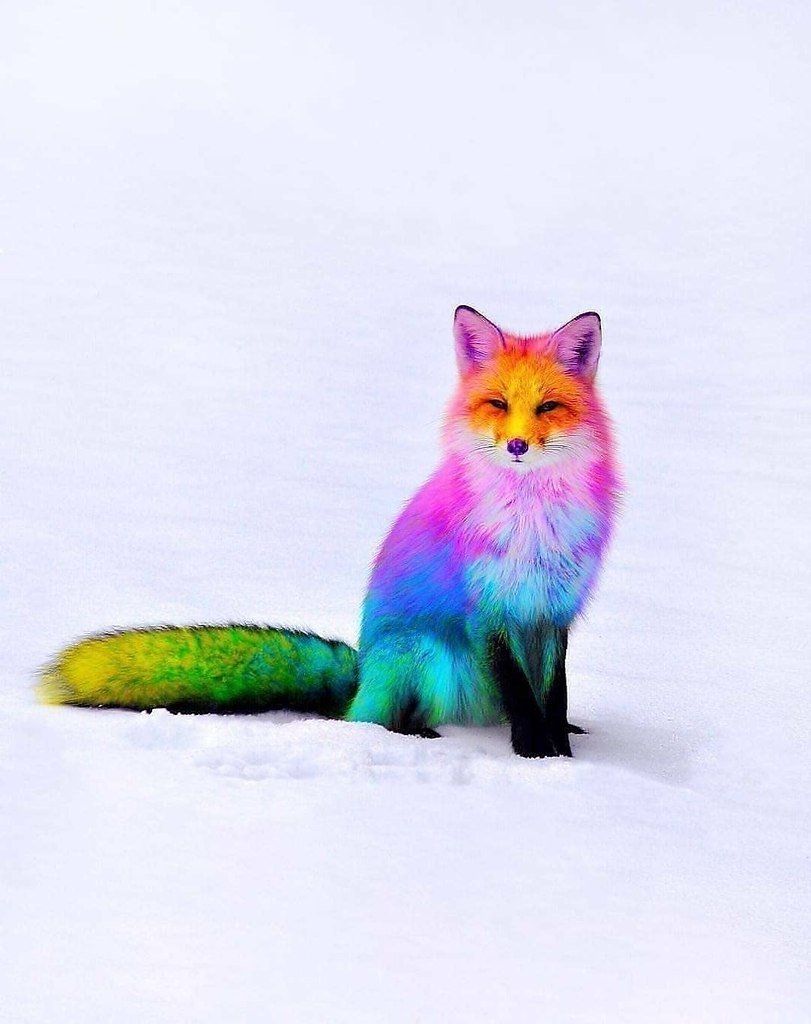 Лиса радужные друзья