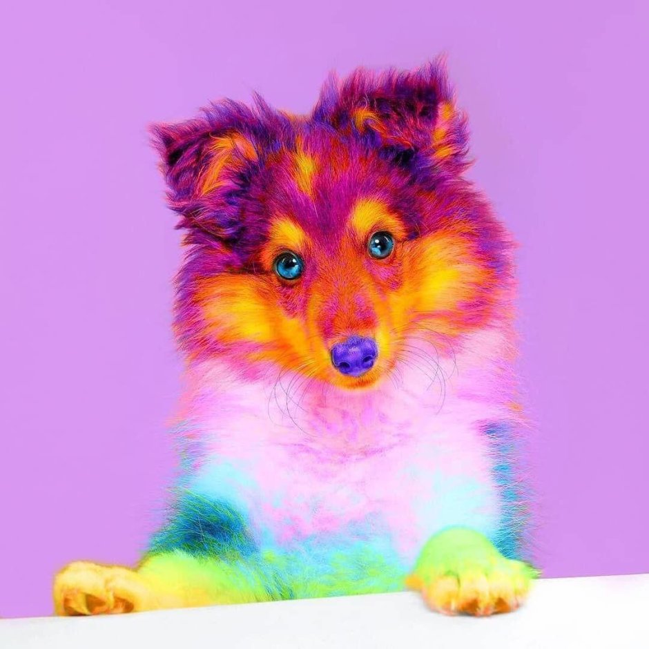 Радужные животные настоящие