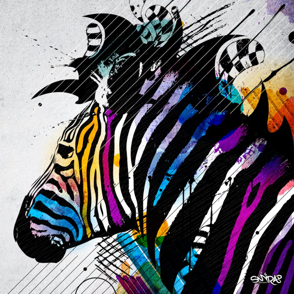 Цветная Зебра