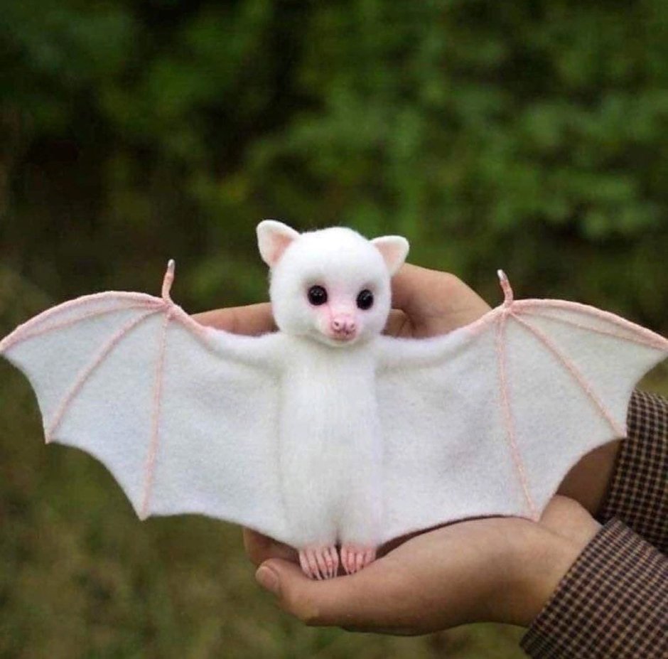 Baby Albino Vampire Plushie