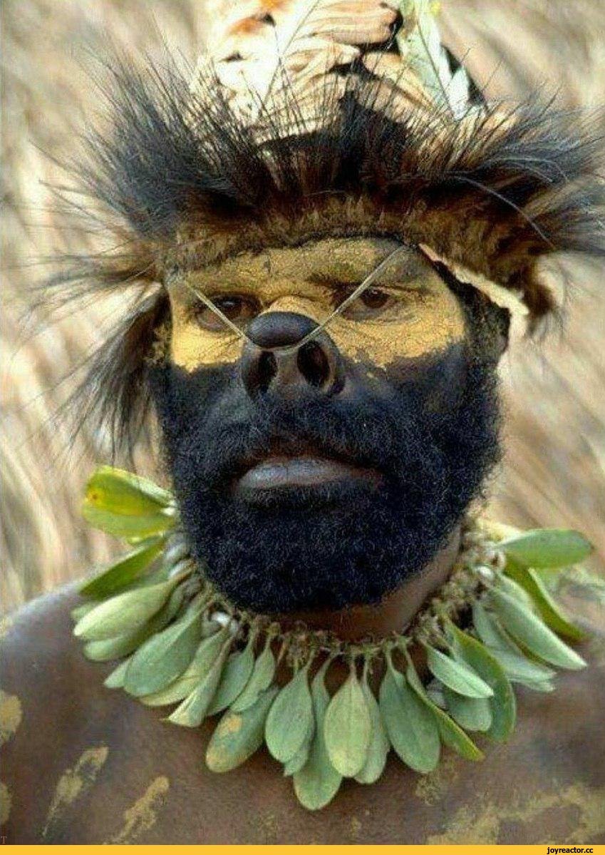 Конго гориллы