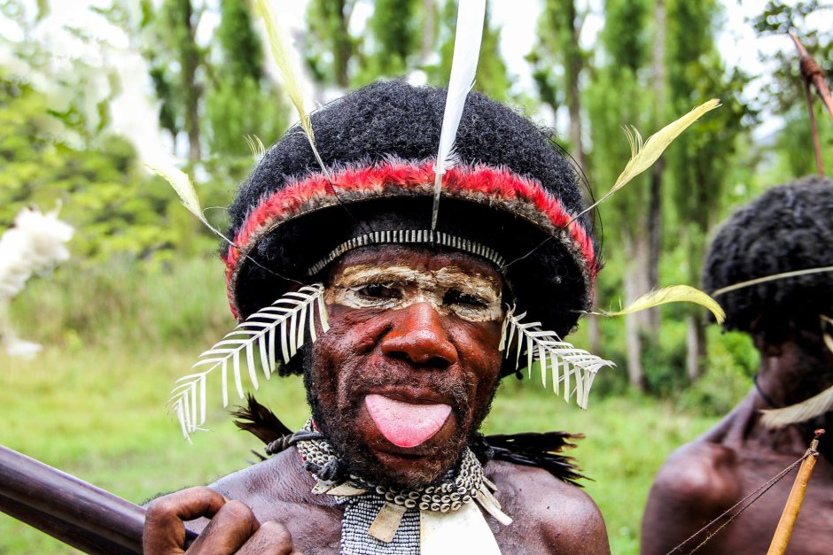 Павиан Мандрил