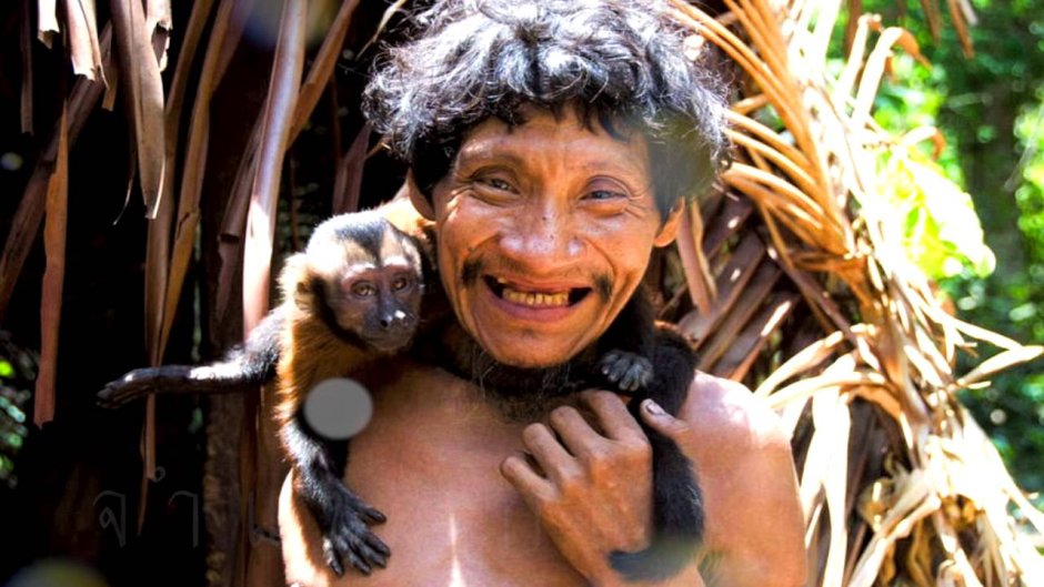 Папуа новая Гвинея Монарх