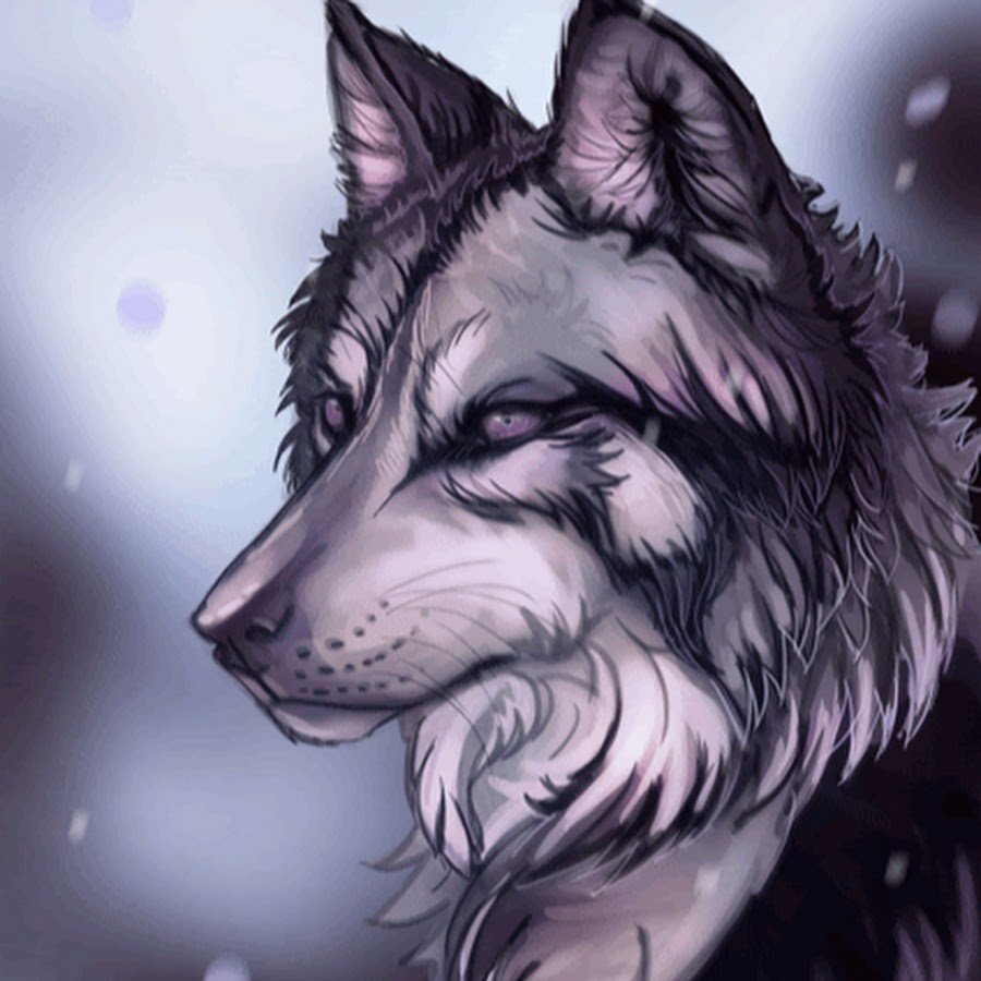 Волк скалится в полный рост