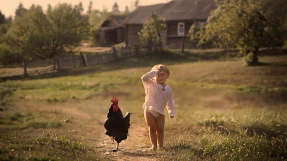 Елена Шумилова фотограф