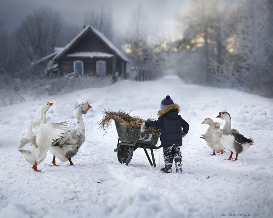 Жизнь в деревне