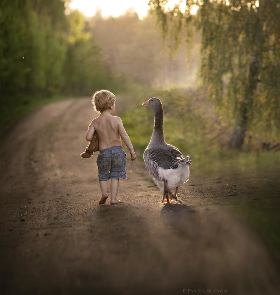 Фотохудожник Елена Шумилова