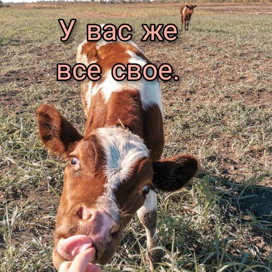 Лето деревня Инстаграм