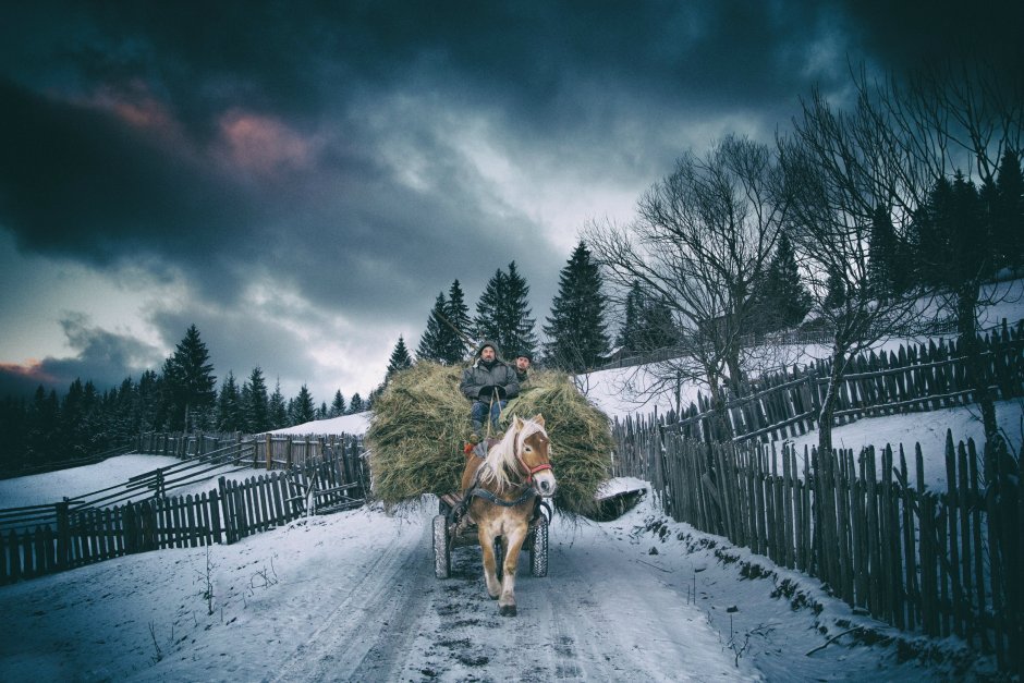 Деревня зима лошадь