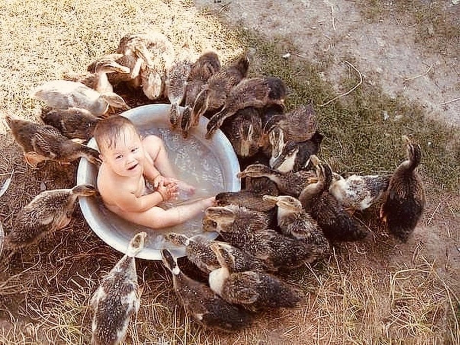 Фотосессия с утятами в тазике