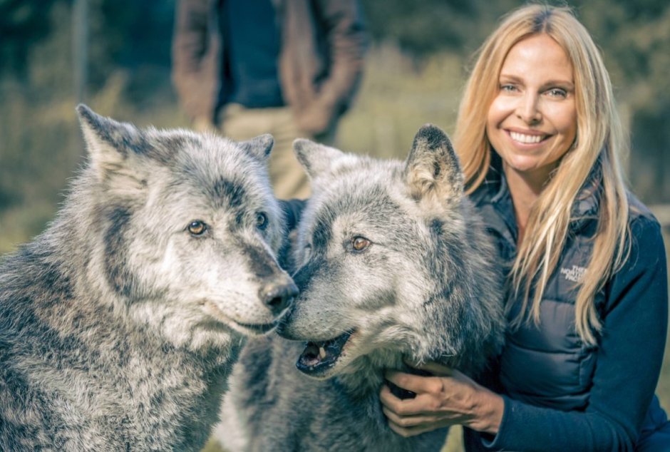 Прирученный волк