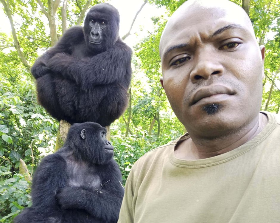 Шимпанзе Chimp Eden