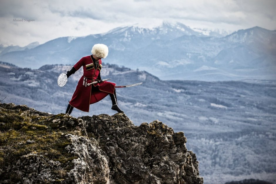 Самая большая змея в Дагестане