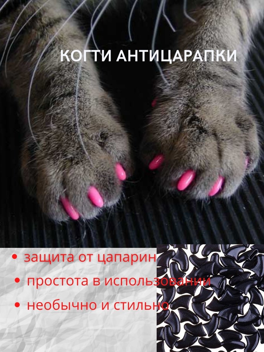 Котик с когтями
