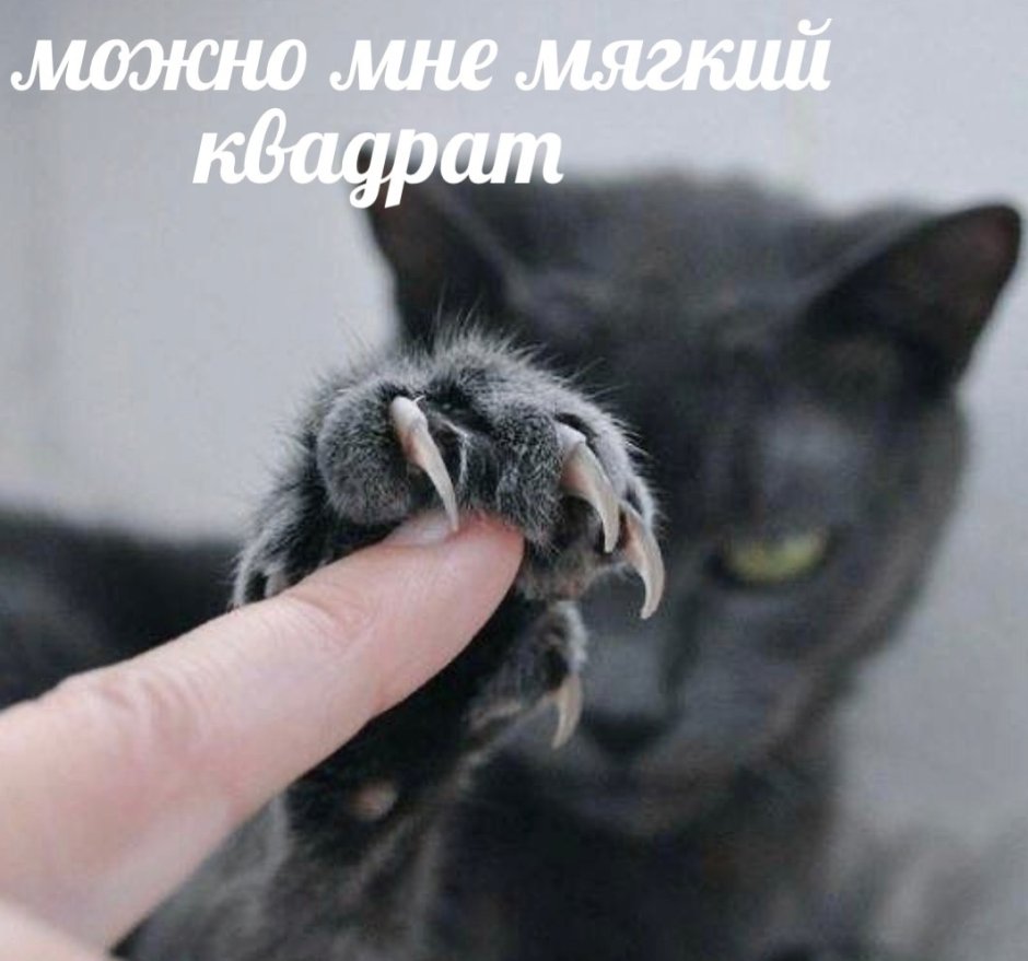 Перчатки с когтями кошки