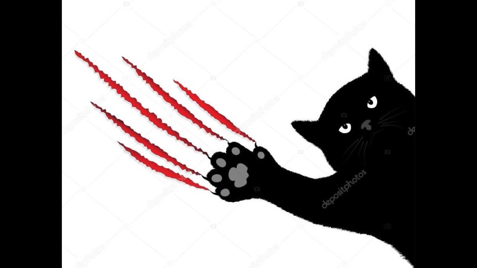 Кошачья лапка с коготками