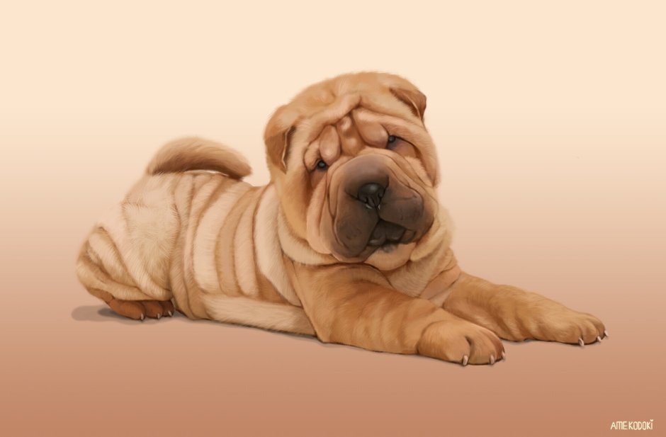 Собака шарпей