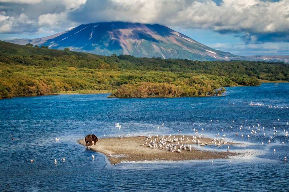 Южно-Камчатский заказник